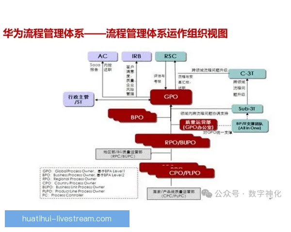 华体会注册全流程详解及新手快速上手指南与实用技巧分享